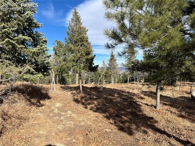 Hard to find private, mitigated lot in the gated upscale - photo 12