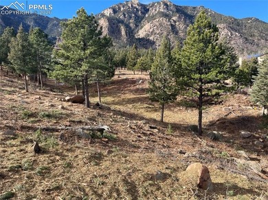 Hard to find private, mitigated lot in the gated upscale - photo 13