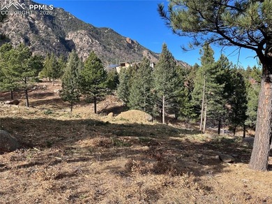 Hard to find private, mitigated lot in the gated upscale - photo 14