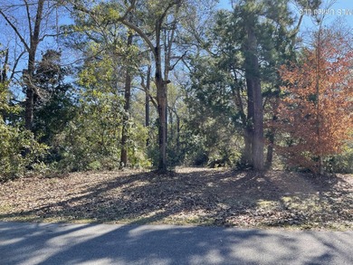 This waterfront lot is offered as is. This canal is on the Army - photo 1
