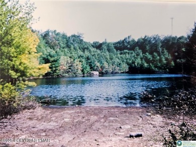 Lake Acreage For Sale in Tobyhanna, Pennsylvania
