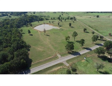 (private lake, pond, creek) Acreage For Sale in Tennessee Colony Texas