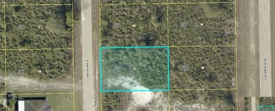 Lehigh Acres Area Lot For Sale in Lehigh Acres Florida