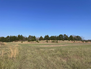Greers Ferry Lake Acreage For Sale in Greers Ferry Arkansas