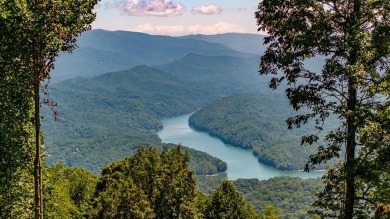 Fontana Lake Acreage For Sale in Almond North Carolina