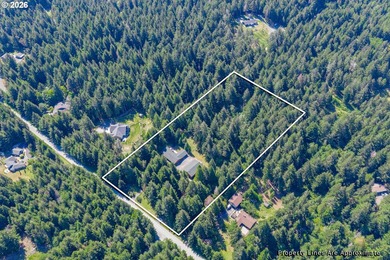 Privacy, space, and the Oregon Coast at your doorstep. Tucked - photo 10