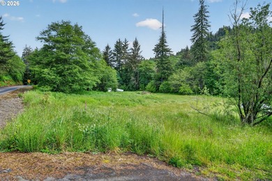 Rare opportunity to own two separate legal building lots - photo 1