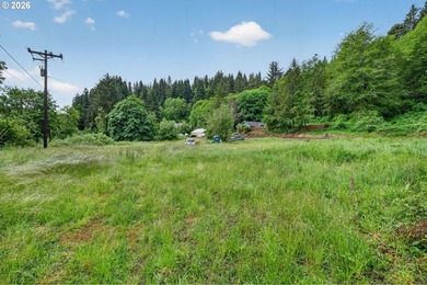Rare opportunity to own two separate legal building lots - photo 3