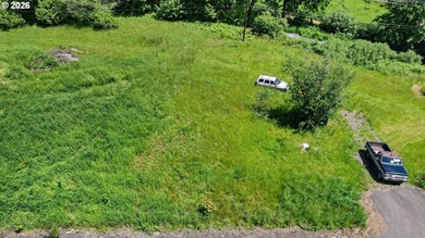 Rare opportunity to own two separate legal building lots - photo 4
