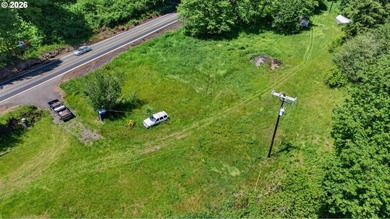 Rare opportunity to own two separate legal building lots - photo 5