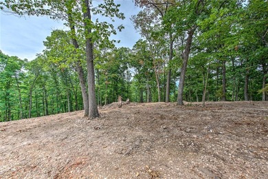 Enjoy breathtaking acreage showcasing mature hardwoods and - photo 11
