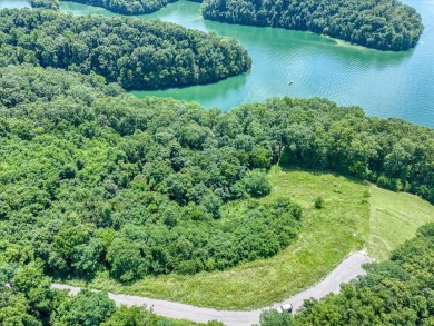 (private lake, pond, creek) Lot For Sale in Hilham Tennessee