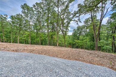 Enjoy breathtaking acreage showcasing mature hardwoods and - photo 14