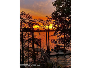 -18-20 feet off of the ground -3 Bedrooms -2 Full Baths - photo 25