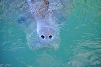 HUGE PRICE REDUCTION ON THIS ELEGANTLY FURNISHED HOME WITH