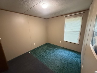 3 bedroom 2 bath home near Kentucky's Lakes Blood River and - photo 8
