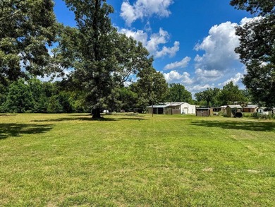 Located near Lake O the Pines and minutes from Bullfrog Marina - photo 50
