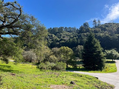 Opportunity knocks! A 2 mile drive from the heart of Aptos - photo 3