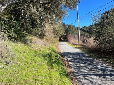 Opportunity knocks! A 2 mile drive from the heart of Aptos - photo 4
