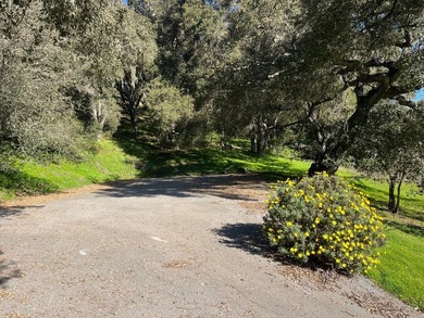 Opportunity knocks! A 2 mile drive from the heart of Aptos - photo 9