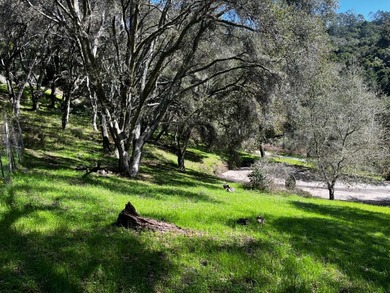 Opportunity knocks! A 2 mile drive from the heart of Aptos - photo 10