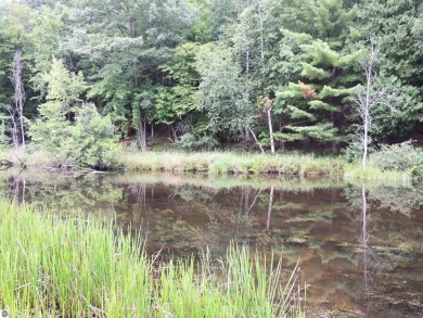 (private lake, pond, creek) Lot For Sale in Lake Isabella Michigan