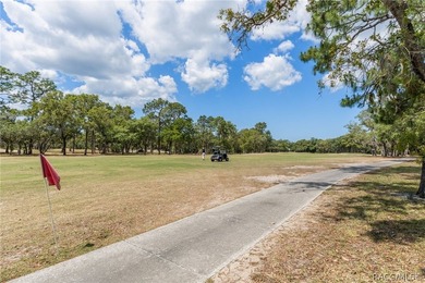 Well maintained, fully furnished golf course pool home located - photo 45