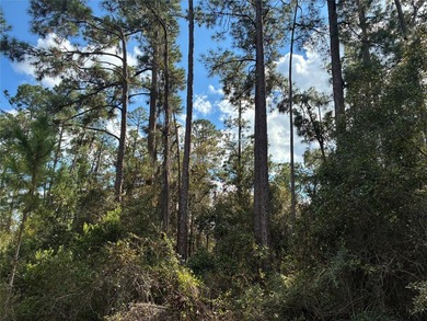 Excellent Location within Indian Lake Estates, close to club - photo 1