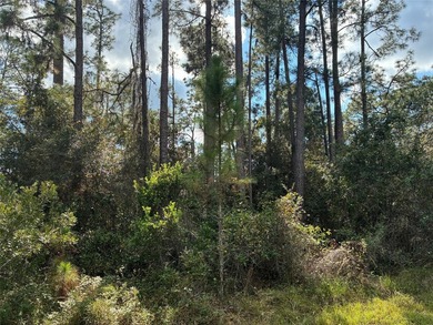 Excellent Location within Indian Lake Estates, close to club - photo 2