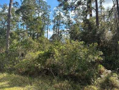 Excellent Location within Indian Lake Estates, close to club - photo 3