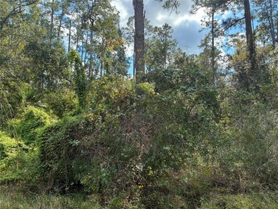 Excellent Location within Indian Lake Estates, close to club - photo 4