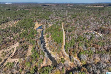 Coleman Lakes Acreage For Sale in Bessemer Alabama