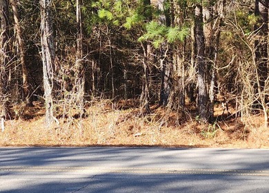 Lake Guntersville Commercial For Sale in Guntersville Alabama