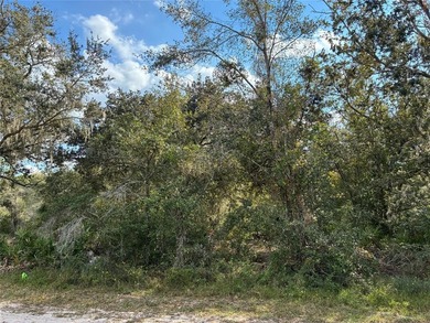 Lake Weohyakapka Lot For Sale in Indian Lake Estates Florida
