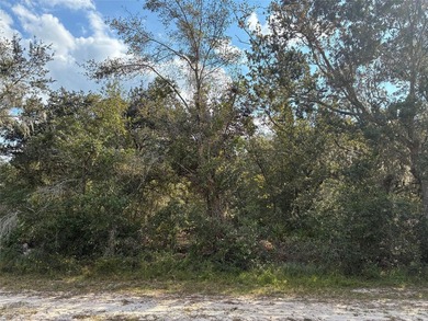 Excellent Location within Indian Lake Estates, close to boat - photo 3