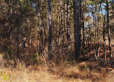 Additional listing photo 3