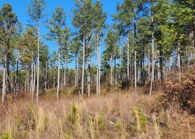 Additional listing photo 4