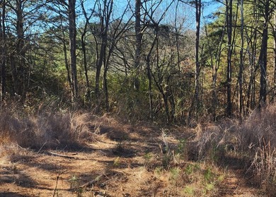 Land Luxury in Guntersville! Discover an exceptional opportunity - photo 6