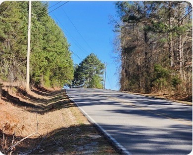 Land Luxury in Guntersville! Discover an exceptional opportunity - photo 7