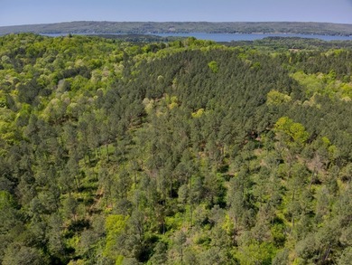 Land Luxury in Guntersville! Discover an exceptional opportunity - photo 9