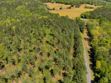 Land Luxury in Guntersville! Discover an exceptional opportunity - photo 10