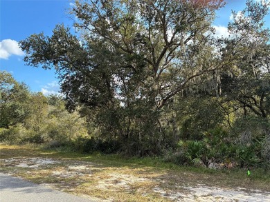 Excellent Location within Indian Lake Estates, close to club - photo 2