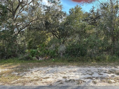 Excellent Location within Indian Lake Estates, close to club - photo 3