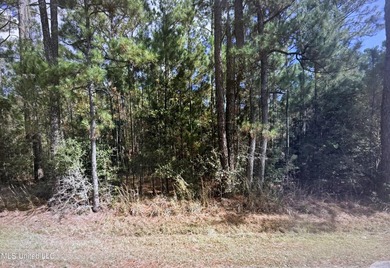 Beautiful wooded parcel offering privacy, natural scenery, and - photo 1