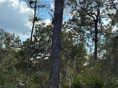 Lake Weohyakapka Lot For Sale in Indian Lake Estates Florida
