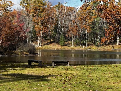 (private lake, pond, creek) Acreage For Sale in Gaylord Michigan