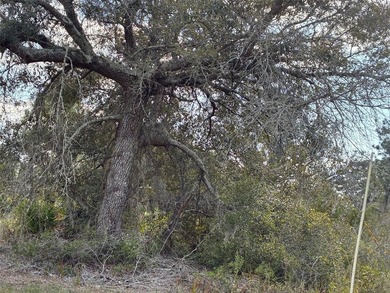 Additional listing photo 2
