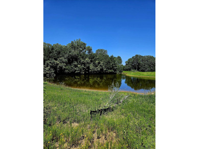 (private lake, pond, creek) Acreage For Sale in Huntington Arkansas