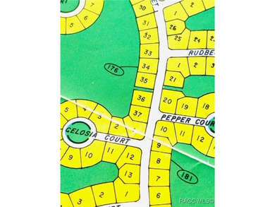 Premium home site in Oak Village at Sugarmill Woods. Block 176 - photo 1