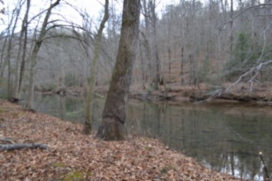 5 AC ON THE CUMBERLAND PLATEAU W/ FRONTAGE ON E. OBEY RIVER SOLD - photo 9